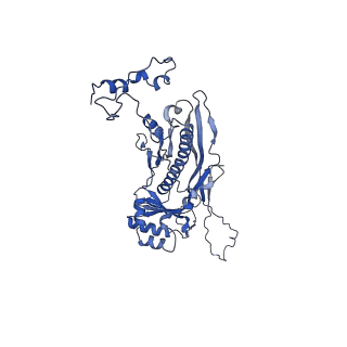 4459_6q3g_NE_v1-0
Structure of native bacteriophage P68