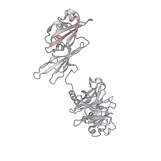 4459_6q3g_NI_v1-0
Structure of native bacteriophage P68