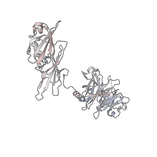 4459_6q3g_OA_v1-0
Structure of native bacteriophage P68