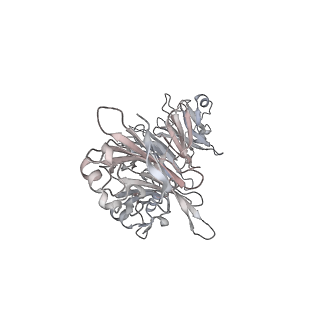 4459_6q3g_OB_v1-0
Structure of native bacteriophage P68