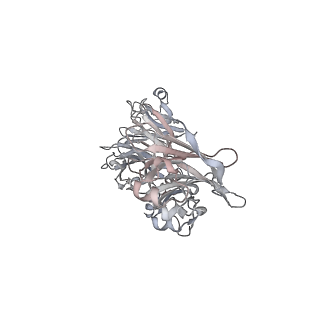 4459_6q3g_OF_v1-0
Structure of native bacteriophage P68