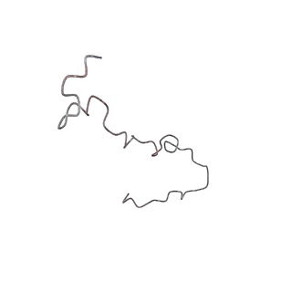 4459_6q3g_PE_v1-0
Structure of native bacteriophage P68
