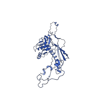 4459_6q3g_Q6_v1-0
Structure of native bacteriophage P68