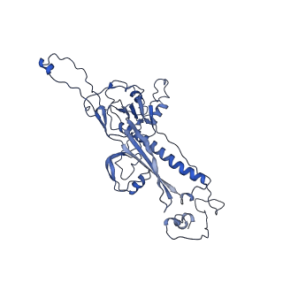 4459_6q3g_Q7_v1-0
Structure of native bacteriophage P68