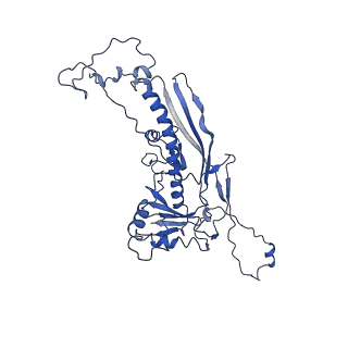 4459_6q3g_QQ_v1-0
Structure of native bacteriophage P68