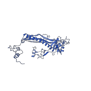 4459_6q3g_RG_v1-0
Structure of native bacteriophage P68