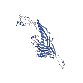 4459_6q3g_RL_v1-0
Structure of native bacteriophage P68