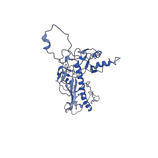 4459_6q3g_SE_v1-0
Structure of native bacteriophage P68