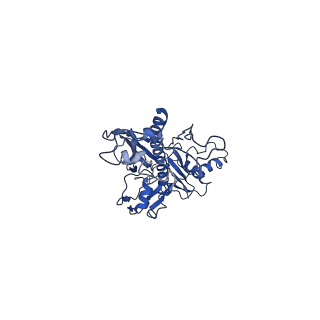 4459_6q3g_SG_v1-0
Structure of native bacteriophage P68