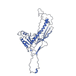 4459_6q3g_SQ_v1-0
Structure of native bacteriophage P68