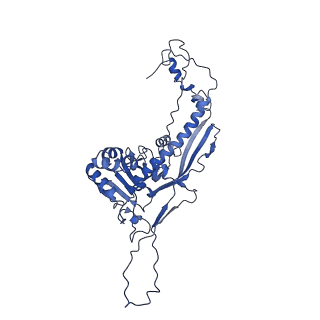 4459_6q3g_T7_v1-0
Structure of native bacteriophage P68