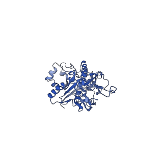 4459_6q3g_TG_v1-0
Structure of native bacteriophage P68