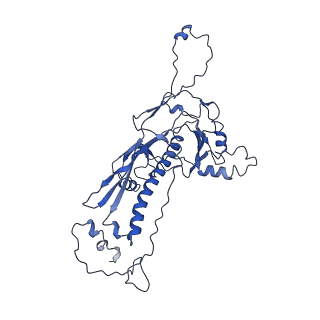 4459_6q3g_Y7_v1-0
Structure of native bacteriophage P68