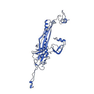 4459_6q3g_Y8_v1-0
Structure of native bacteriophage P68