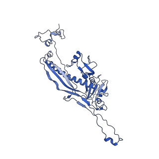 4459_6q3g_YG_v1-0
Structure of native bacteriophage P68