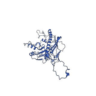 4459_6q3g_ZL_v1-0
Structure of native bacteriophage P68