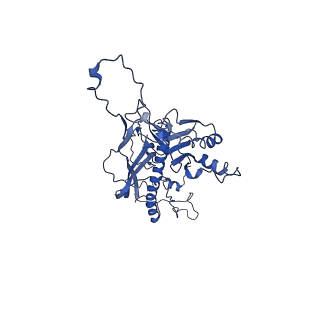 4459_6q3g_ZR_v1-0
Structure of native bacteriophage P68