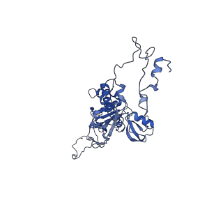 4459_6q3g_a4_v1-0
Structure of native bacteriophage P68