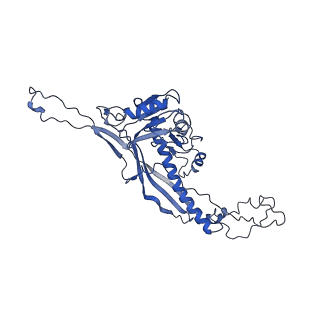 4459_6q3g_aR_v1-0
Structure of native bacteriophage P68