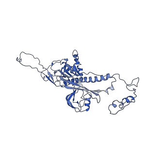4459_6q3g_bL_v1-0
Structure of native bacteriophage P68