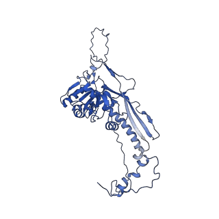 4459_6q3g_gL_v1-0
Structure of native bacteriophage P68