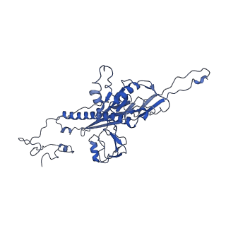 4459_6q3g_h1_v1-0
Structure of native bacteriophage P68