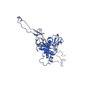 4459_6q3g_h4_v1-0
Structure of native bacteriophage P68