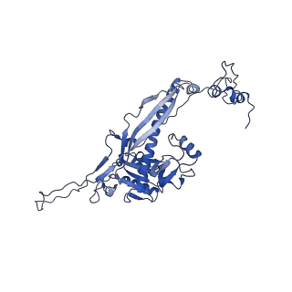 4459_6q3g_i1_v1-0
Structure of native bacteriophage P68