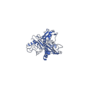4459_6q3g_i8_v1-0
Structure of native bacteriophage P68