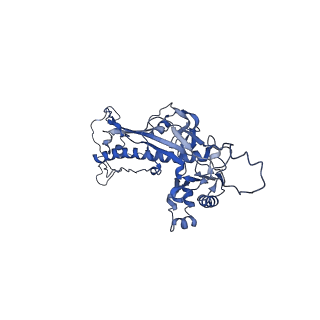 4459_6q3g_jG_v1-0
Structure of native bacteriophage P68