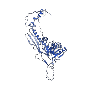 4459_6q3g_jR_v1-0
Structure of native bacteriophage P68