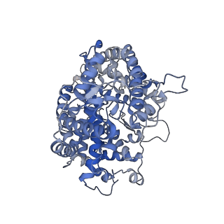 13799_7q49_A_v1-2
Local refinement structure of the N-domain of full-length, monomeric, soluble somatic angiotensin I-converting enzyme