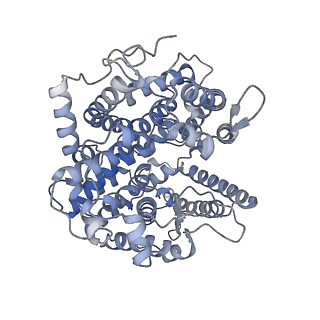 13801_7q4c_A_v1-2
Local refinement structure of the C-domain of full-length, monomeric, soluble somatic angiotensin I-converting enzyme