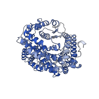 13803_7q4d_A_v1-2
Local refinement structure of the two interacting N-domains of full-length, dimeric, soluble somatic angiotensin I-converting enzyme