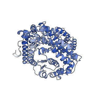 13803_7q4d_B_v1-2
Local refinement structure of the two interacting N-domains of full-length, dimeric, soluble somatic angiotensin I-converting enzyme