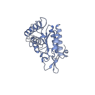 13805_7q4k_AB_v1-2
Erythromycin-stalled Escherichia coli 70S ribosome with streptococcal MsrDL nascent chain