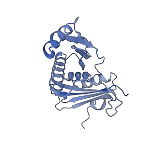 13805_7q4k_AC_v1-2
Erythromycin-stalled Escherichia coli 70S ribosome with streptococcal MsrDL nascent chain