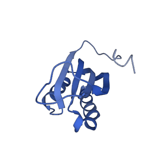 13805_7q4k_AF_v1-2
Erythromycin-stalled Escherichia coli 70S ribosome with streptococcal MsrDL nascent chain