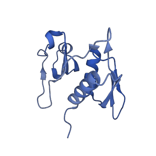 13805_7q4k_AH_v1-2
Erythromycin-stalled Escherichia coli 70S ribosome with streptococcal MsrDL nascent chain