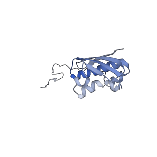 13805_7q4k_AI_v1-2
Erythromycin-stalled Escherichia coli 70S ribosome with streptococcal MsrDL nascent chain