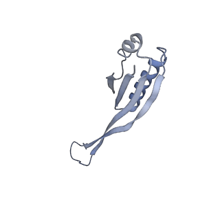 13805_7q4k_AJ_v1-2
Erythromycin-stalled Escherichia coli 70S ribosome with streptococcal MsrDL nascent chain