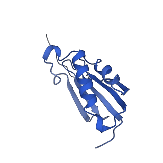 13805_7q4k_AK_v1-2
Erythromycin-stalled Escherichia coli 70S ribosome with streptococcal MsrDL nascent chain