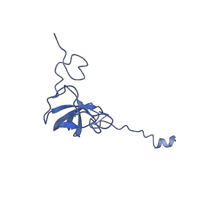 13805_7q4k_AL_v1-2
Erythromycin-stalled Escherichia coli 70S ribosome with streptococcal MsrDL nascent chain