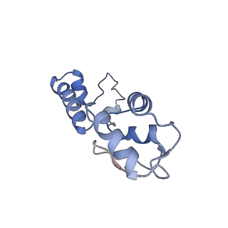 13805_7q4k_AM_v1-2
Erythromycin-stalled Escherichia coli 70S ribosome with streptococcal MsrDL nascent chain