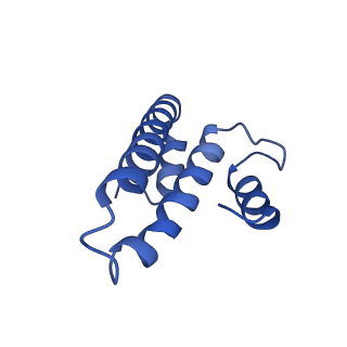 13805_7q4k_AO_v1-2
Erythromycin-stalled Escherichia coli 70S ribosome with streptococcal MsrDL nascent chain