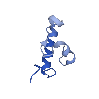 13805_7q4k_AR_v1-2
Erythromycin-stalled Escherichia coli 70S ribosome with streptococcal MsrDL nascent chain
