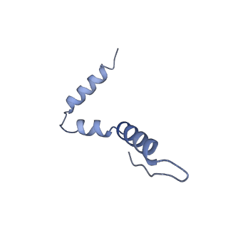 13805_7q4k_AU_v1-2
Erythromycin-stalled Escherichia coli 70S ribosome with streptococcal MsrDL nascent chain