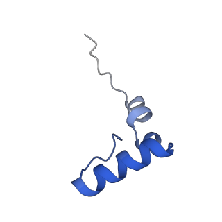 13805_7q4k_B2_v1-2
Erythromycin-stalled Escherichia coli 70S ribosome with streptococcal MsrDL nascent chain