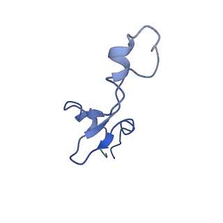 13805_7q4k_B3_v1-2
Erythromycin-stalled Escherichia coli 70S ribosome with streptococcal MsrDL nascent chain