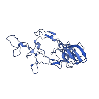 13805_7q4k_BC_v1-2
Erythromycin-stalled Escherichia coli 70S ribosome with streptococcal MsrDL nascent chain